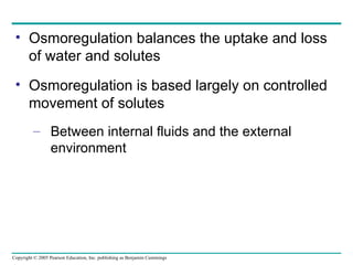 Osmoregulation balances the uptake and loss of water and solutes Osmoregulation is based largely on controlled movement of solutes Between internal fluids and the external environment 