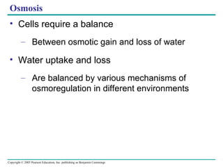 Osmosis Cells require a balance Between osmotic gain and loss of water Water uptake and loss Are balanced by various mechanisms of osmoregulation in different environments 