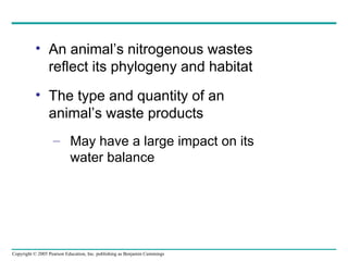 An animal’s nitrogenous wastes reflect its phylogeny and habitat The type and quantity of an animal’s waste products May have a large impact on its water balance 