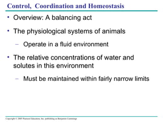 Control,  Coordination and Homeostasis ,[object Object],[object Object],[object Object],[object Object],[object Object]