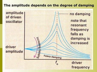 The amplitude depends on the degree of damping
 