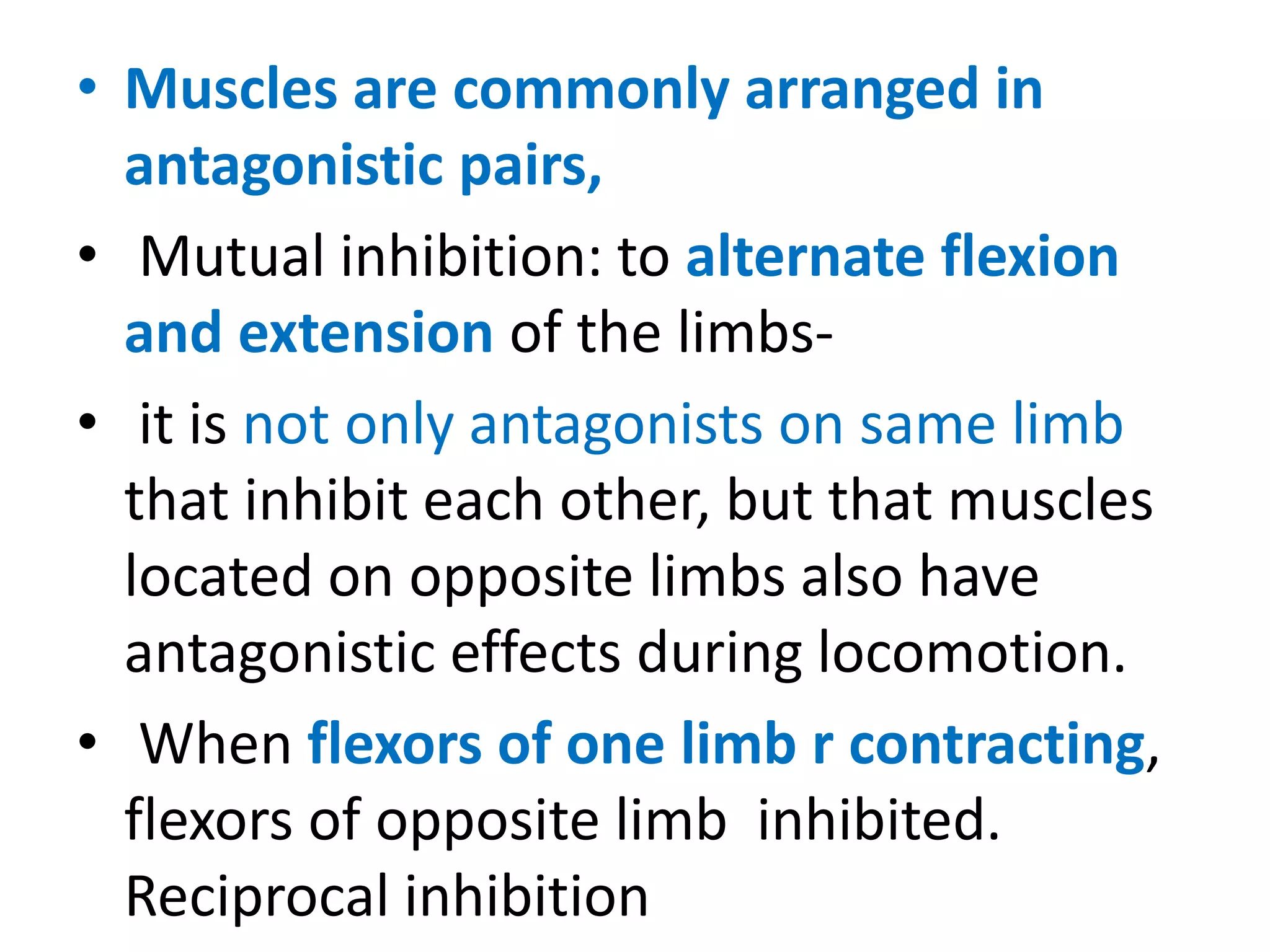 • Muscles are commonly arranged in
antagonistic pairs,
• Mutual inhibition: to alternate flexion
and extension of the limbs-
• it is not only antagonists on same limb
that inhibit each other, but that muscles
located on opposite limbs also have
antagonistic effects during locomotion.
• When flexors of one limb r contracting,
flexors of opposite limb inhibited.
Reciprocal inhibition
 
