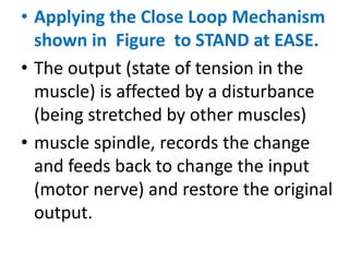 • Applying the Close Loop Mechanism
shown in Figure to STAND at EASE.
• The output (state of tension in the
muscle) is affected by a disturbance
(being stretched by other muscles)
• muscle spindle, records the change
and feeds back to change the input
(motor nerve) and restore the original
output.
 