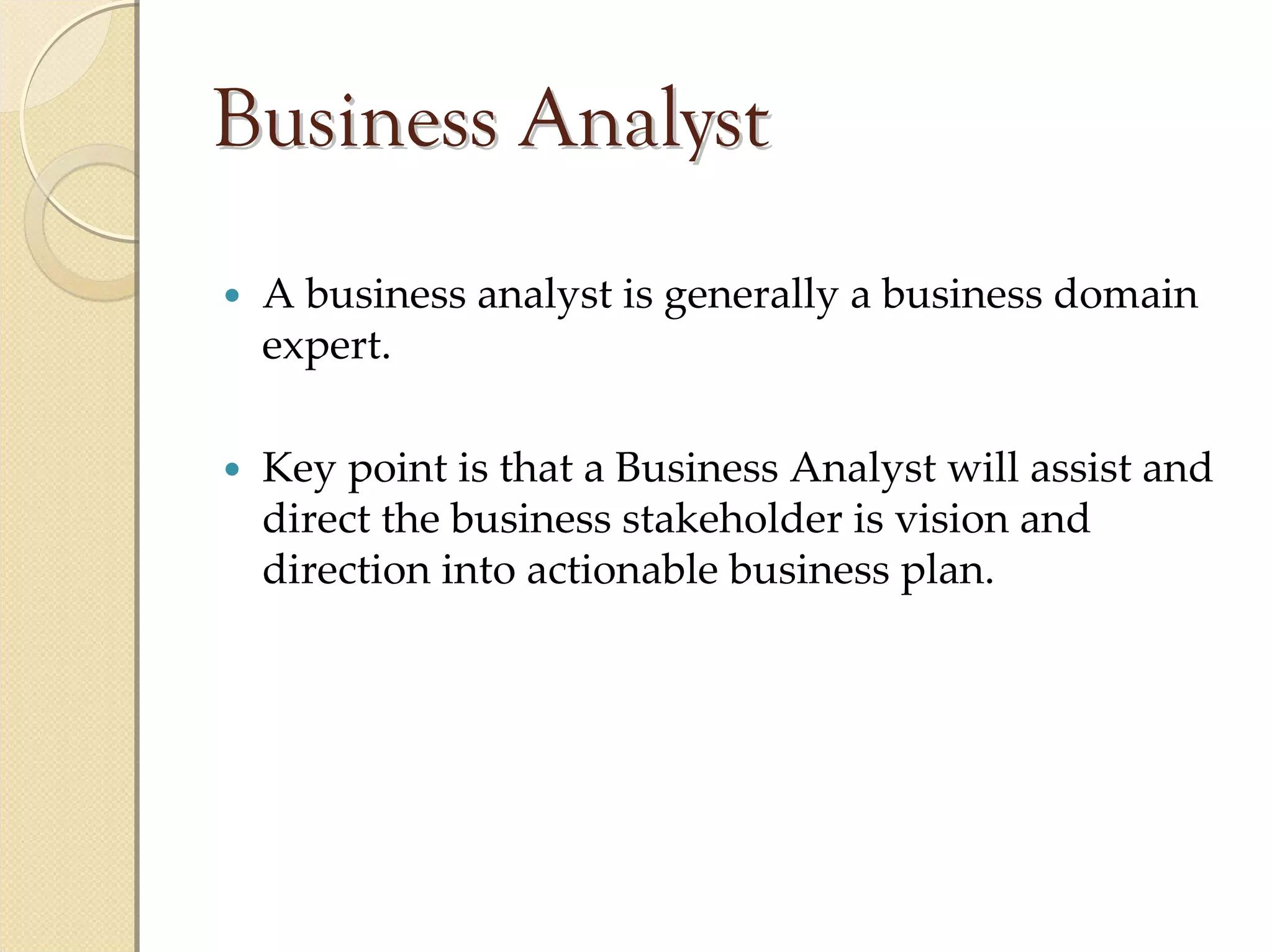Business Analyst
 A business analyst is generally a business domain 
 expert.

 Key point is that a Business Analyst will assist and 
 direct the business stakeholder is vision and 
 direction into actionable business plan.
 