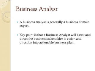 Business Analyst
 A business analyst is generally a business domain 
 expert.

 Key point is that a Business Analyst will assist and 
 direct the business stakeholder is vision and 
 direction into actionable business plan.
 