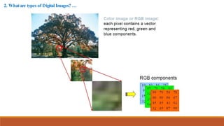 Chap_1_Digital_Image_Fundamentals_DD (2).pdf