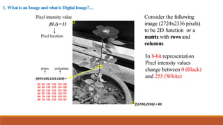 Chap_1_Digital_Image_Fundamentals_DD (2).pdf
