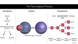 Intoxication Process Chap 1 General principles involved in the management of poisoning | PPTX