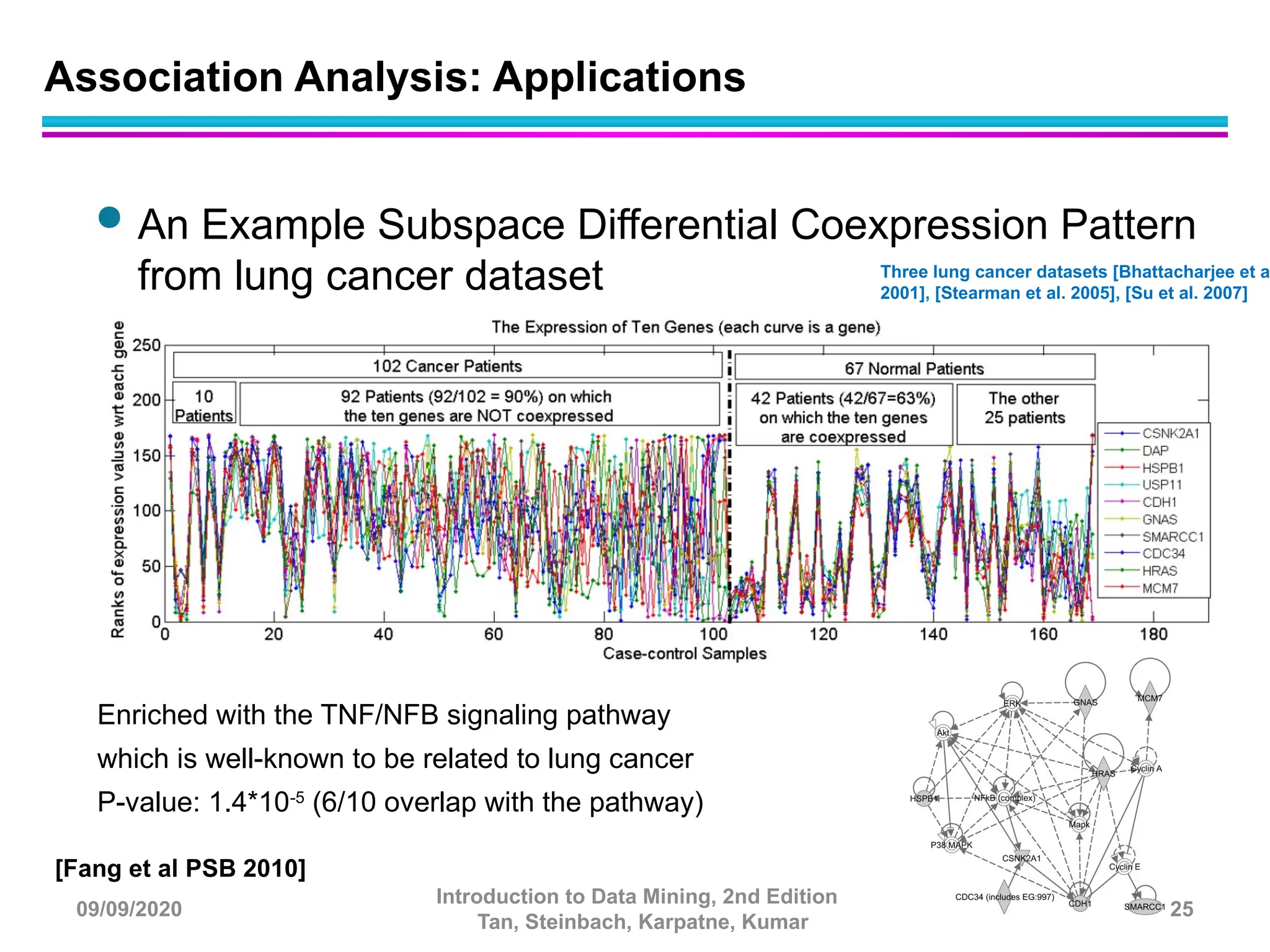  An Example Subspace Differential Coexpression Pattern
from lung cancer dataset
Enriched with the TNF/NFB signaling pathway
which is well-known to be related to lung cancer
P-value: 1.4*10-5
(6/10 overlap with the pathway)
[Fang et al PSB 2010]
Three lung cancer datasets [Bhattacharjee et al
2001], [Stearman et al. 2005], [Su et al. 2007]
Association Analysis: Applications
09/09/2020
Introduction to Data Mining, 2nd Edition
Tan, Steinbach, Karpatne, Kumar
25
 