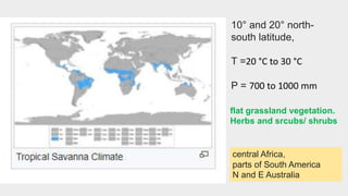 10° and 20° north-
south latitude,
T =20 °C to 30 °C
P = 700 to 1000 mm
flat grassland vegetation.
Herbs and srcubs/ shrubs
central Africa,
parts of South America
N and E Australia
 