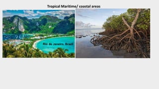 Rio de Janeiro, Brazil
Tropical Maritime/ coastal areas
 