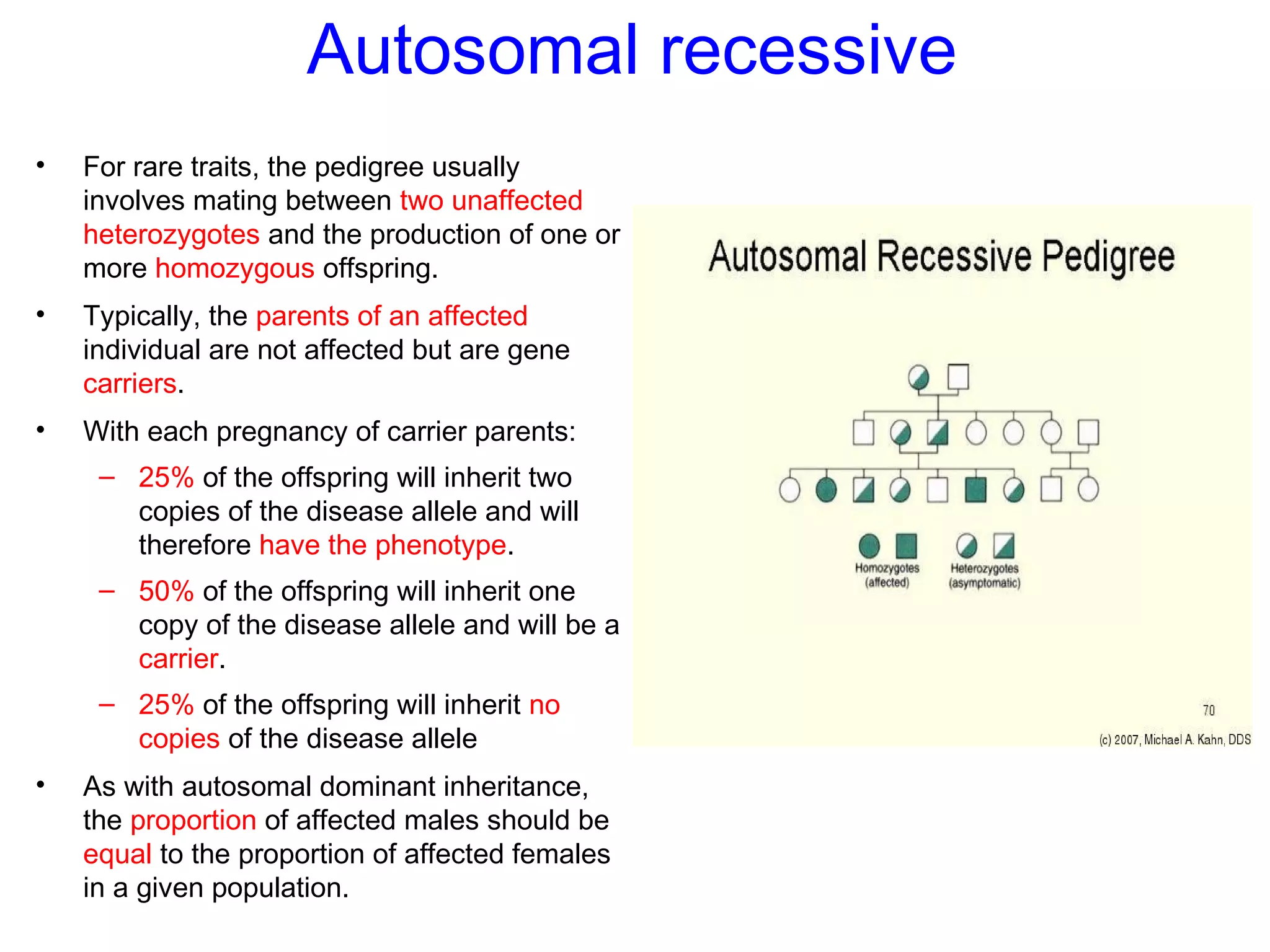 Autosomal recessive
• For rare traits, the pedigree usually
involves mating between two unaffected
heterozygotes and the production of one or
more homozygous offspring.
• Typically, the parents of an affected
individual are not affected but are gene
carriers.
• With each pregnancy of carrier parents:
– 25% of the offspring will inherit two
copies of the disease allele and will
therefore have the phenotype.
– 50% of the offspring will inherit one
copy of the disease allele and will be a
carrier.
– 25% of the offspring will inherit no
copies of the disease allele
• As with autosomal dominant inheritance,
the proportion of affected males should be
equal to the proportion of affected females
in a given population.
 
