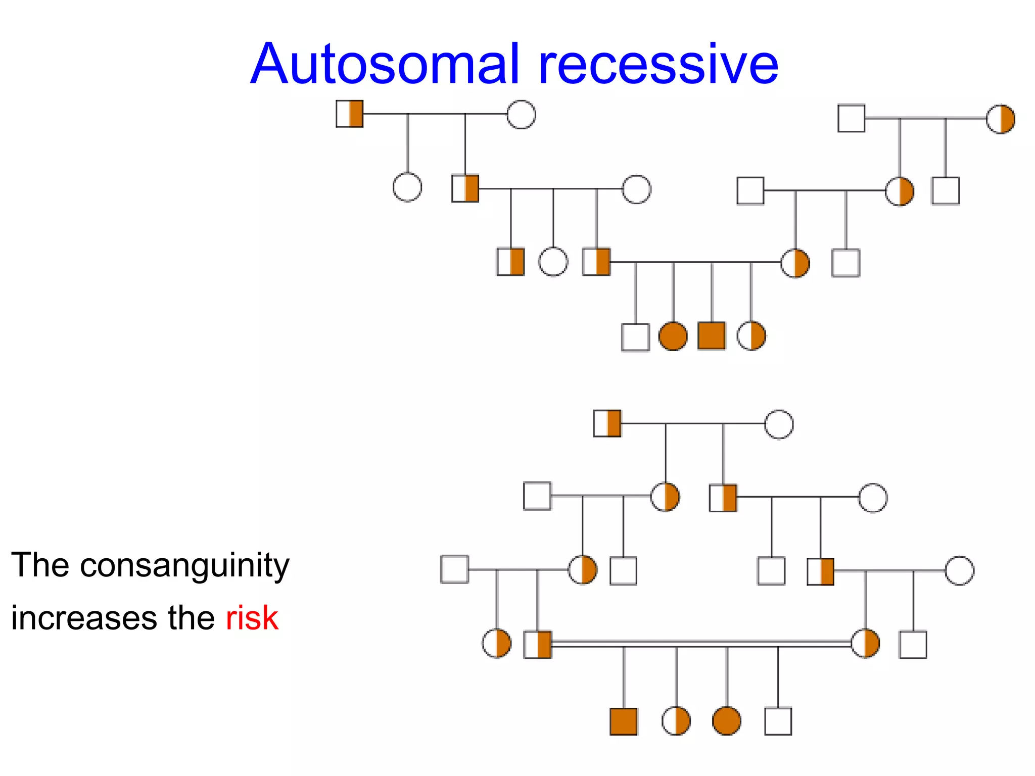 Autosomal recessive
The consanguinity
increases the risk
 
