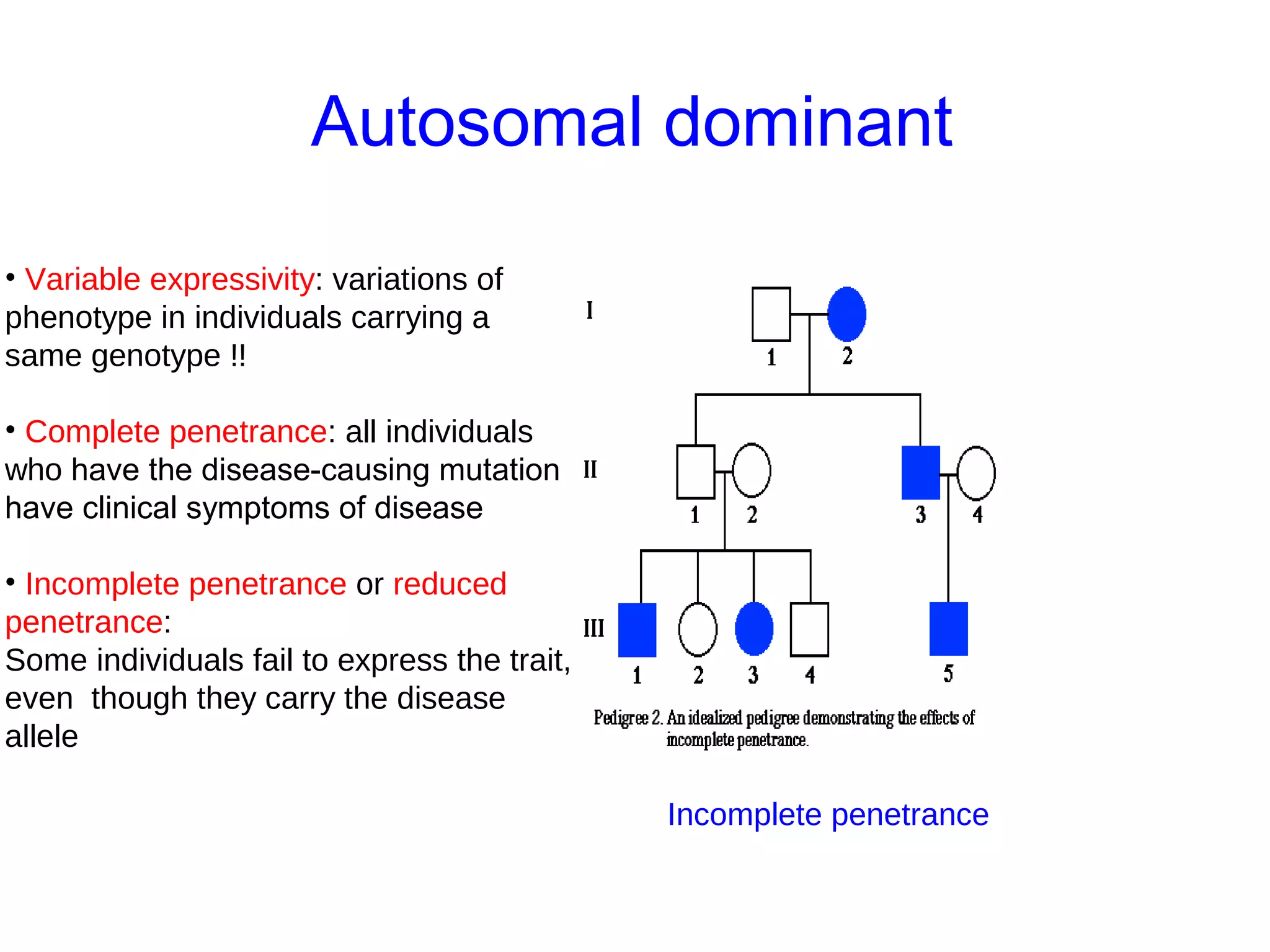 Autosomal dominant
• Variable expressivity: variations of
phenotype in individuals carrying a
same genotype !!
• Complete penetrance: all individuals
who have the disease-causing mutation
have clinical symptoms of disease
• Incomplete penetrance or reduced
penetrance:
Some individuals fail to express the trait,
even though they carry the disease
allele
Incomplete penetrance
 