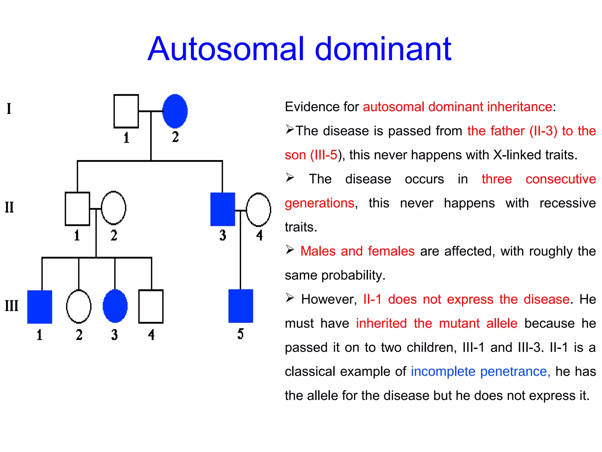 Autosomal dominant
Evidence for autosomal dominant inheritance:
The disease is passed from the father (II-3) to the
son (III-5), this never happens with X-linked traits.
 The disease occurs in three consecutive
generations, this never happens with recessive
traits.
 Males and females are affected, with roughly the
same probability.
 However, II-1 does not express the disease. He
must have inherited the mutant allele because he
passed it on to two children, III-1 and III-3. II-1 is a
classical example of incomplete penetrance, he has
the allele for the disease but he does not express it.
 