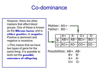 Codominant Inheritance Modes of inheritance | PPT