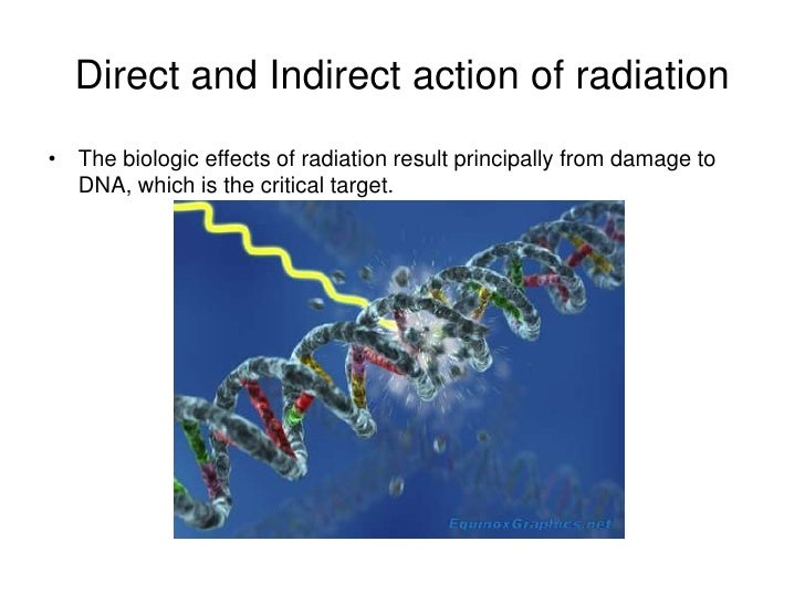 Radiation Physics And Radiobiology – MAGLU