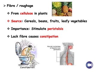  Fibre / roughage
 From cellulose in plants
 Source: Cereals, beans, fruits, leafy vegetables
 Importance: Stimulate peristalsis
 Lack fibre causes constipation
 