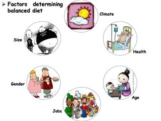  Factors determining
balanced diet
Size
Gender
Jobs
Age
Health
Climate
 