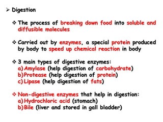  Digestion
 The process of breaking down food into soluble and
diffusible molecules
 Carried out by enzymes, a special protein produced
by body to speed up chemical reaction in body
 3 main types of digestive enzymes:
a) Amylase (help digestion of carbohydrate)
b) Protease (help digestion of protein)
c) Lipase (help digestion of fats)
 Non-digestive enzymes that help in digestion:
a) Hydrochloric acid (stomach)
b) Bile (liver and stored in gall bladder)
 