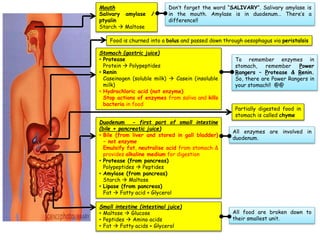 Mouth
Salivary amylase /
ptyalin
Starch  Maltose
Don’t forget the word “SALIVARY”. Salivary amylase is
in the mouth. Amylase is in duodenum… There’s a
difference!!
Stomach (gastric juice)
• Protease
Protein  Polypeptides
• Renin
Caseinogen (soluble milk)  Casein (insoluble
milk)
• Hydrochloric acid (not enzyme)
Stop actions of enzymes from saliva and kills
bacteria in food
To remember enzymes in
stomach, remember Power
Rangers – Protease & Renin.
So, there are Power Rangers in
your stomach!! @@
Duodenum - first part of small intestine
(bile + pancreatic juice)
• Bile (from liver and stored in gall bladder)
– not enzyme
Emulsify fat, neutralise acid from stomach &
provides alkaline medium for digestion
• Protease (from pancreas)
Polypeptides  Peptides
• Amylase (from pancreas)
Starch  Maltose
• Lipase (from pancreas)
Fat  Fatty acid + Glycerol
All enzymes are involved in
duodenum.
Small intestine (intestinal juice)
• Maltose  Glucose
• Peptides  Amino acids
• Fat  Fatty acids + Glycerol
All food are broken down to
their smallest unit.
Food is churned into a bolus and passed down through oesophagus via peristalsis
Partially digested food in
stomach is called chyme
 