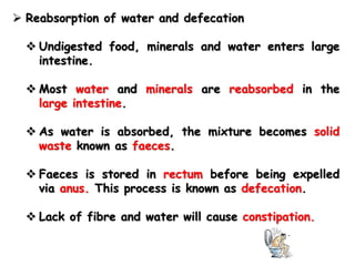  Reabsorption of water and defecation
 Undigested food, minerals and water enters large
intestine.
 Most water and minerals are reabsorbed in the
large intestine.
 As water is absorbed, the mixture becomes solid
waste known as faeces.
 Faeces is stored in rectum before being expelled
via anus. This process is known as defecation.
 Lack of fibre and water will cause constipation.
 