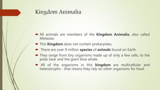 Kingdom Animalia
 All animals are members of the Kingdom Animalia, also called
Metazoa.
 This Kingdom does not contain prokaryotes.
 There are over 9 million species of animals found on Earth.
 They range from tiny organisms made up of only a few cells, to the
polar bear and the giant blue whale.
 All of the organisms in this kingdom are multicellular and
heterotrophs - that means they rely on other organisms for food.
 