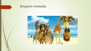 Kingdom Animalia
 