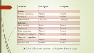 Character Prokaryotes Eukaryotes
Nucleus
Nuclear membrane Absent Present
Nucleolus Absent Present
Chromosome Circular (1) Linear (>1)
Cytoplasm
Mitochondria Absent Present
Lysosomes Absent Present
Golgi apparatus Absent Present
Endoplasmic reticulum Absent Present
Chemical composition
Sterols Absent Present
Muramic acid Present Absent
 Some differences between prokaryotes & eukaryotes
 