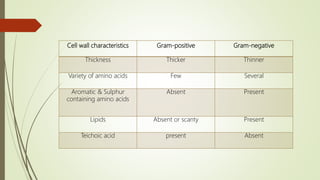 Cell wall characteristics Gram-positive Gram-negative
Thickness Thicker Thinner
Variety of amino acids Few Several
Aromatic & Sulphur
containing amino acids
Absent Present
Lipids Absent or scanty Present
Teichoic acid present Absent
 