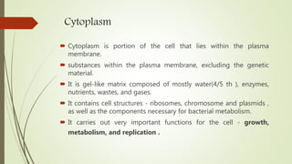 Cytoplasm
 Cytoplasm is portion of the cell that lies within the plasma
membrane.
 substances within the plasma membrane, excluding the genetic
material.
 It is gel-like matrix composed of mostly water(4/5 th ), enzymes,
nutrients, wastes, and gases.
 It contains cell structures - ribosomes, chromosome and plasmids ,
as well as the components necessary for bacterial metabolism.
 It carries out very important functions for the cell - growth,
metabolism, and replication .
 