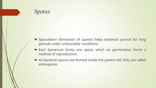 Spores
 Sporulation (formation of spores) helps bacterial survival for long
periods under unfavorable conditions.
 Each bacterium forms one spore, which on germination forms a
method of reproduction.
 As bacterial spores are formed inside the parent cell, they are called
endospores.
 