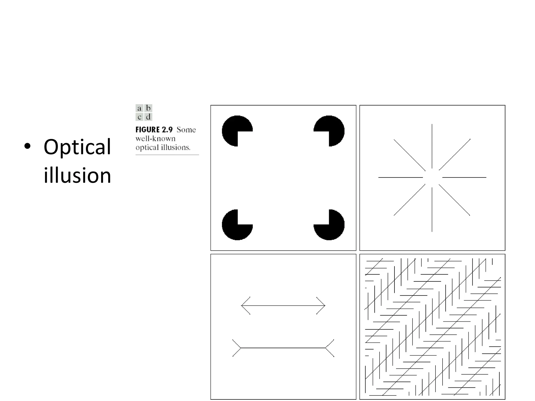 • Optical illusion 