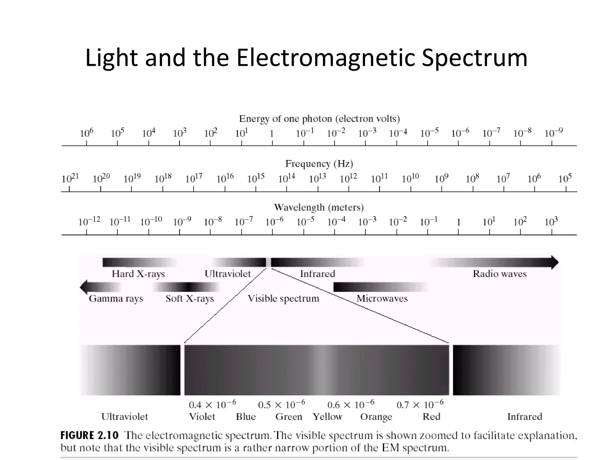 Light and the Electromagnetic Spectrum 