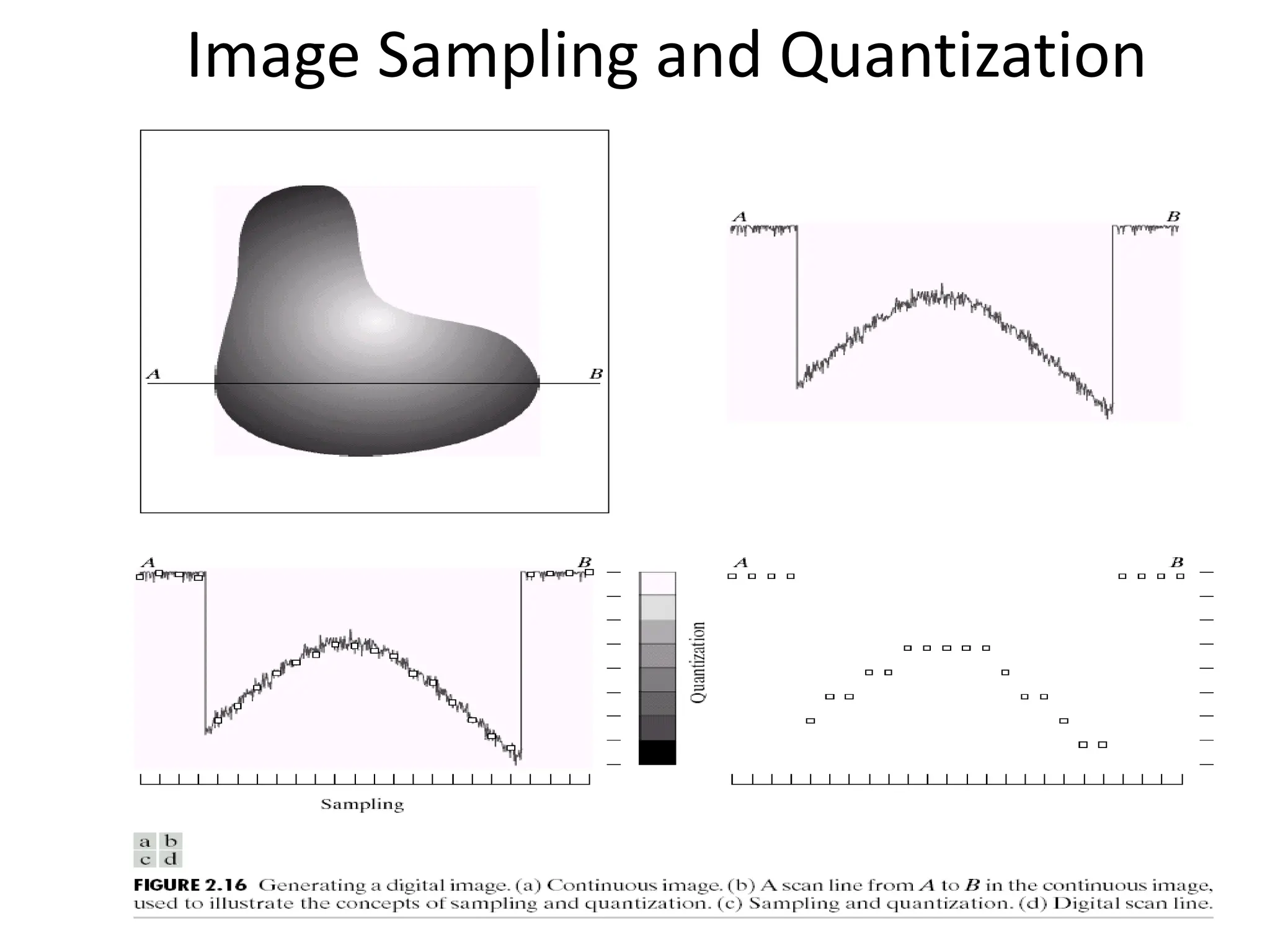 Image Sampling and Quantization 