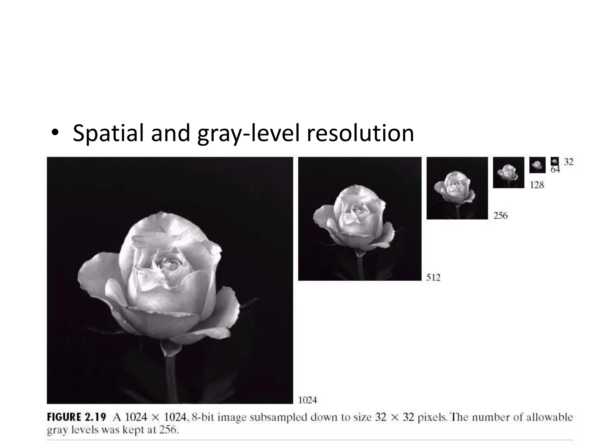 • Spatial and gray-level resolution 