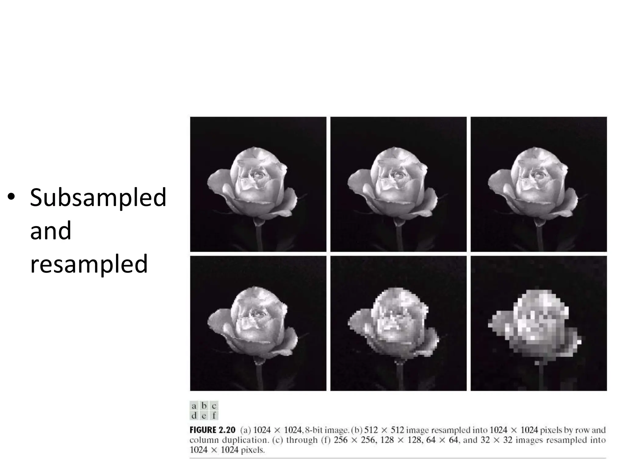 • Subsampled and resampled 