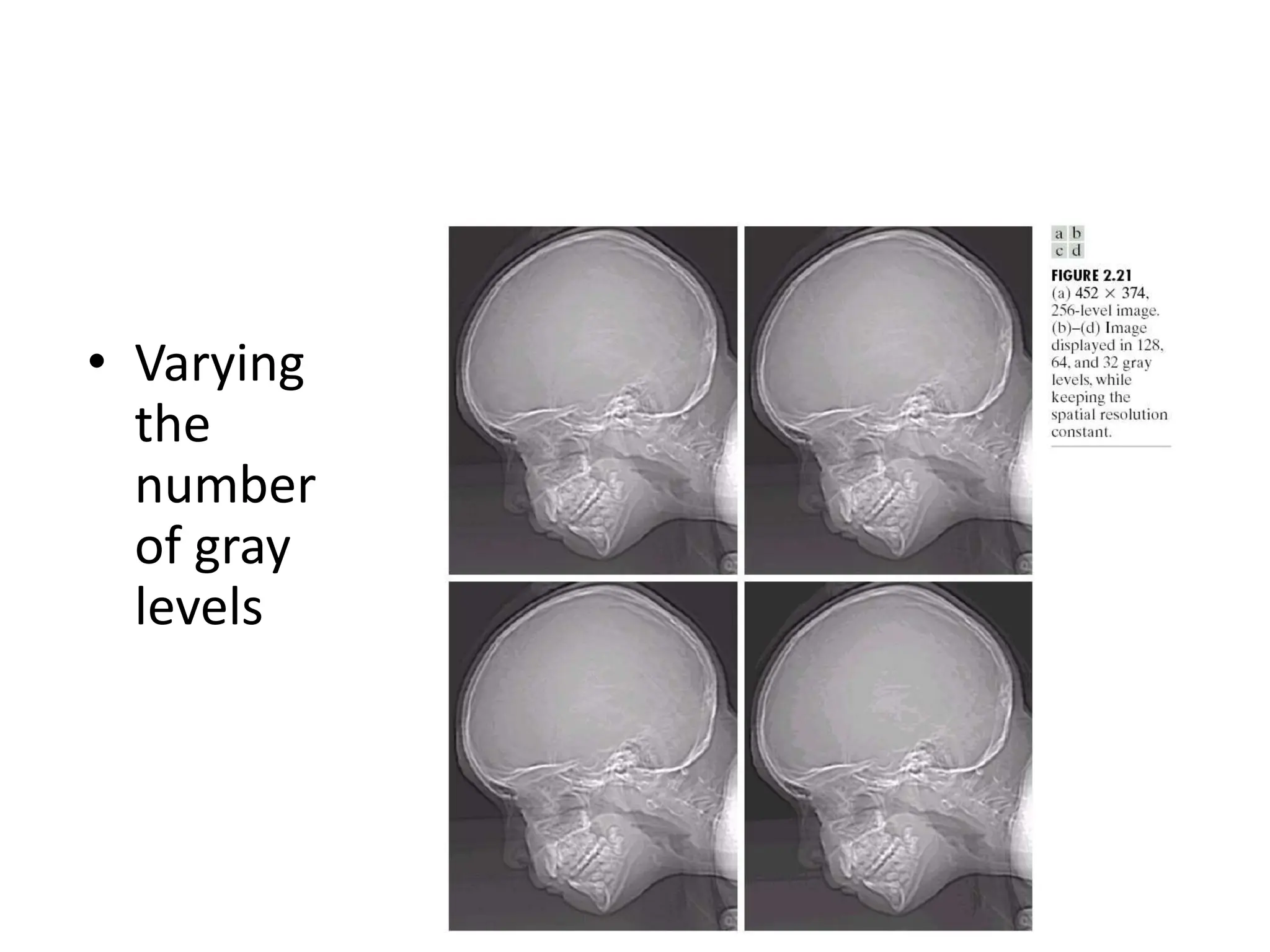 • Varying the number of gray levels 