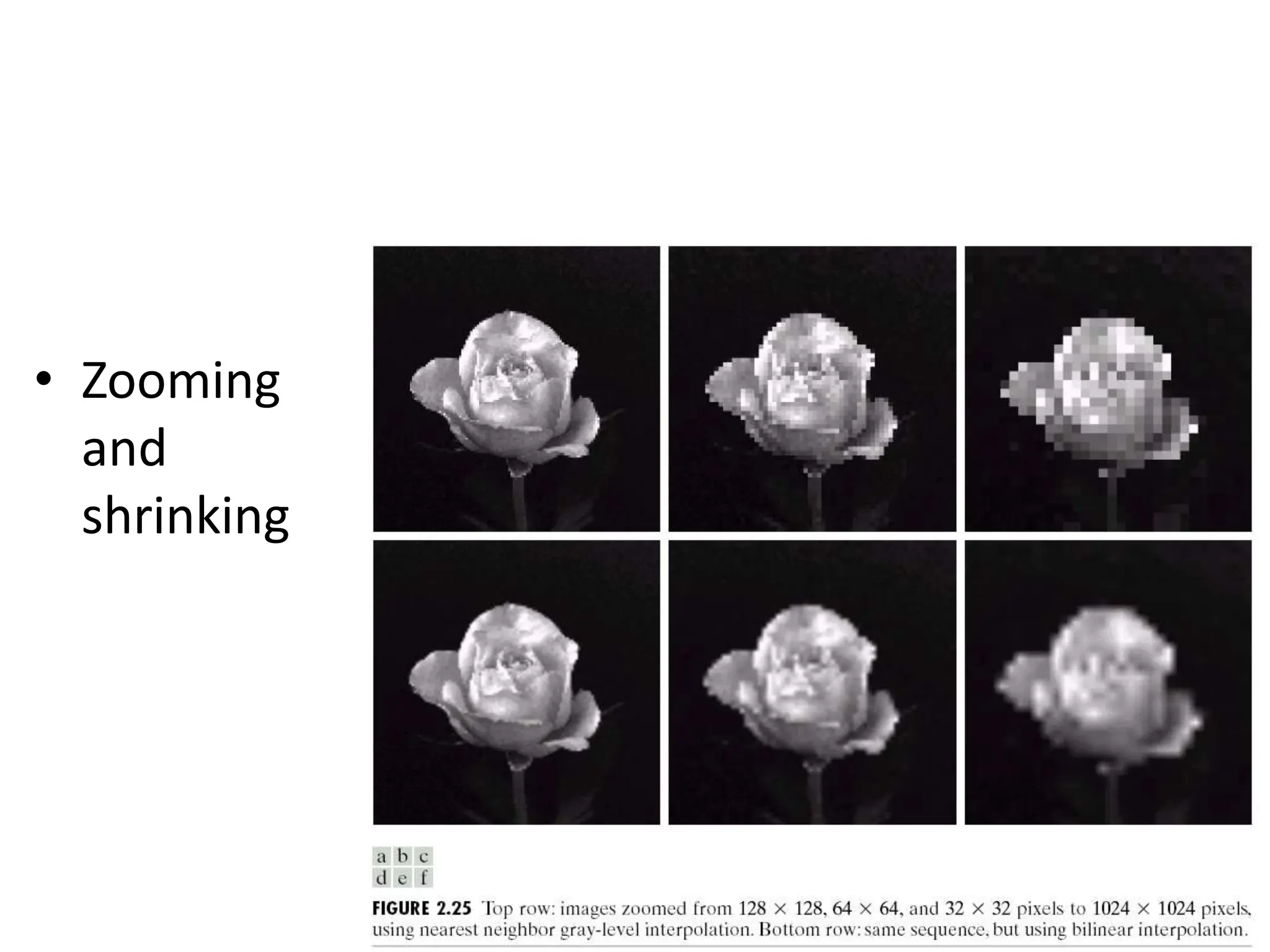 • Zooming and shrinking 