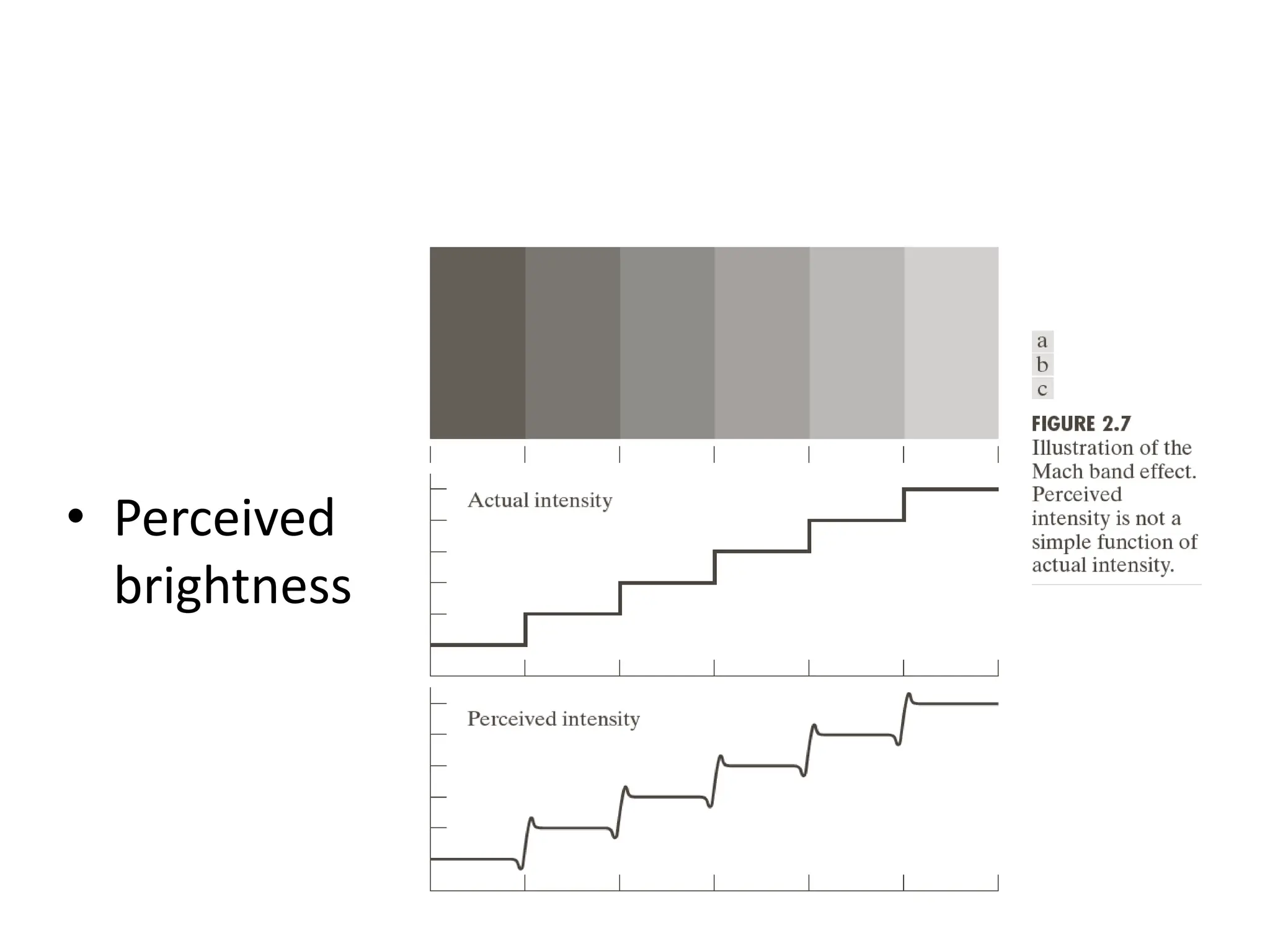• Perceived brightness 