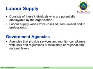 Labour Supply Consists of those individuals who are potentially employable by the organisation. Labour supply varies from unskilled, semi-skilled and to professional. Government Agencies Agencies that provide services and monitor compliance with laws and regulations at local state or regional and national levels  
