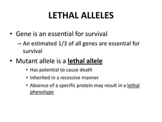 Lethality Genetics MIC150 - Chap 2 Extension Of Mendelian Genetics | PPTX