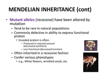 MIC150 - Chap 2 Extension Of Mendelian Genetics | PPTX