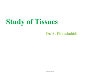 Study of Tissues
Dr. A. Ebneshahidi
ebneshahidi
 