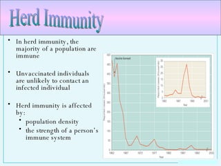 In herd immunity, the majority of a population are immune Unvaccinated individuals are unlikely to contact an infected individual Herd immunity is affected by: population density  the strength of a person’s immune system Herd Immunity 