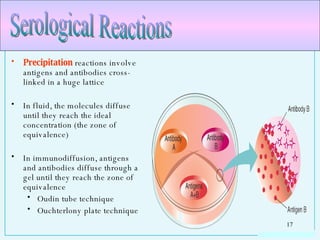 Precipitation  reactions involve antigens and antibodies cross-linked in a huge lattice In fluid, the molecules diffuse until they reach the ideal concentration (the zone of equivalence) In immunodiffusion, antigens and antibodies diffuse through a gel until they reach the zone of equivalence Oudin tube technique Ouchterlony plate technique Serological Reactions 