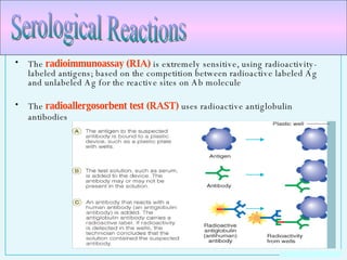 The  radioimmunoassay (RIA)  is extremely sensitive, using radioactivity-labeled antigens; based on the competition between radioactive labeled Ag and unlabeled Ag for the reactive sites on Ab molecule The  radioallergosorbent test (RAST)  uses radioactive antiglobulin antibodies   Serological Reactions 