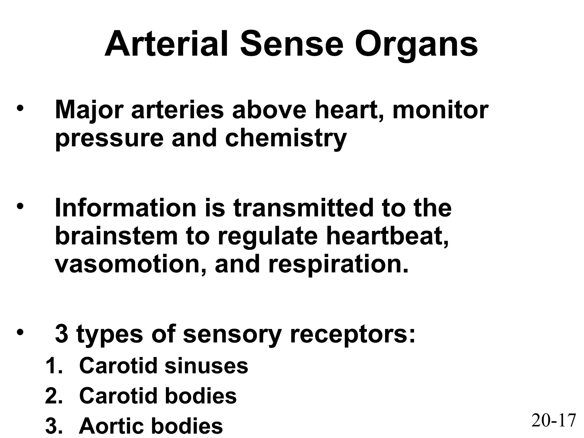 20-17
Arterial Sense Organs
• Major arteries above heart, monitor
pressure and chemistry
• Information is transmitted to the
brainstem to regulate heartbeat,
vasomotion, and respiration.
• 3 types of sensory receptors:
1. Carotid sinuses
2. Carotid bodies
3. Aortic bodies
 