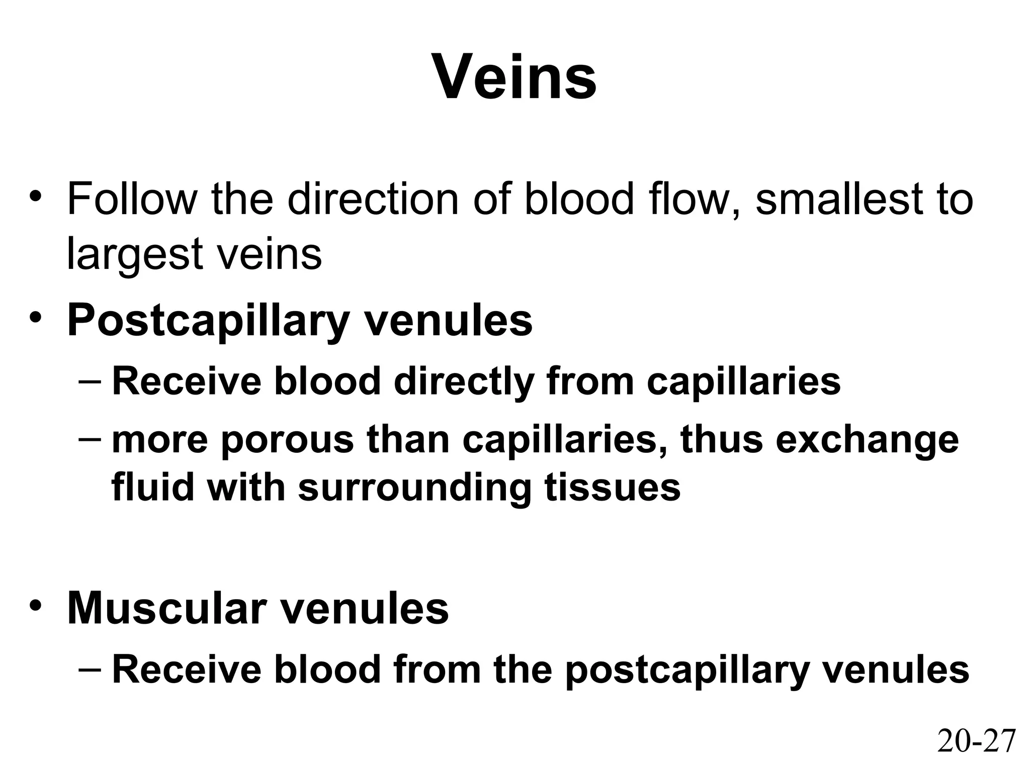 20-27
Veins
• Follow the direction of blood flow, smallest to
largest veins
• Postcapillary venules
– Receive blood directly from capillaries
– more porous than capillaries, thus exchange
fluid with surrounding tissues
• Muscular venules
– Receive blood from the postcapillary venules
 