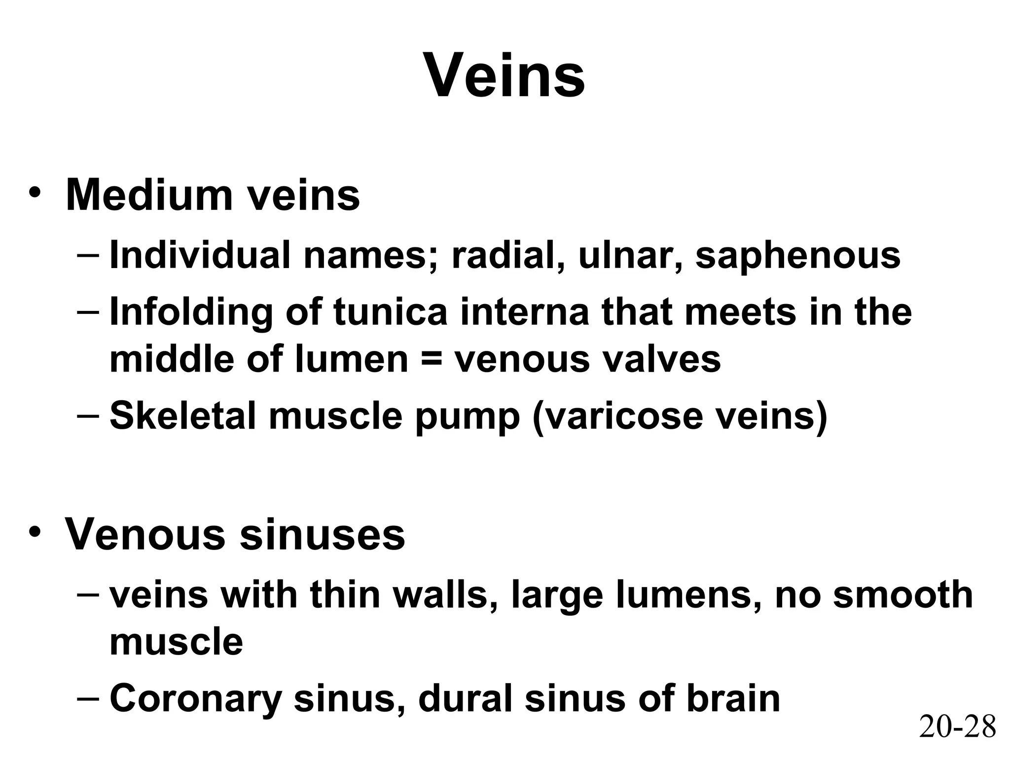 20-28
Veins
• Medium veins
– Individual names; radial, ulnar, saphenous
– Infolding of tunica interna that meets in the
middle of lumen = venous valves
– Skeletal muscle pump (varicose veins)
• Venous sinuses
– veins with thin walls, large lumens, no smooth
muscle
– Coronary sinus, dural sinus of brain
 